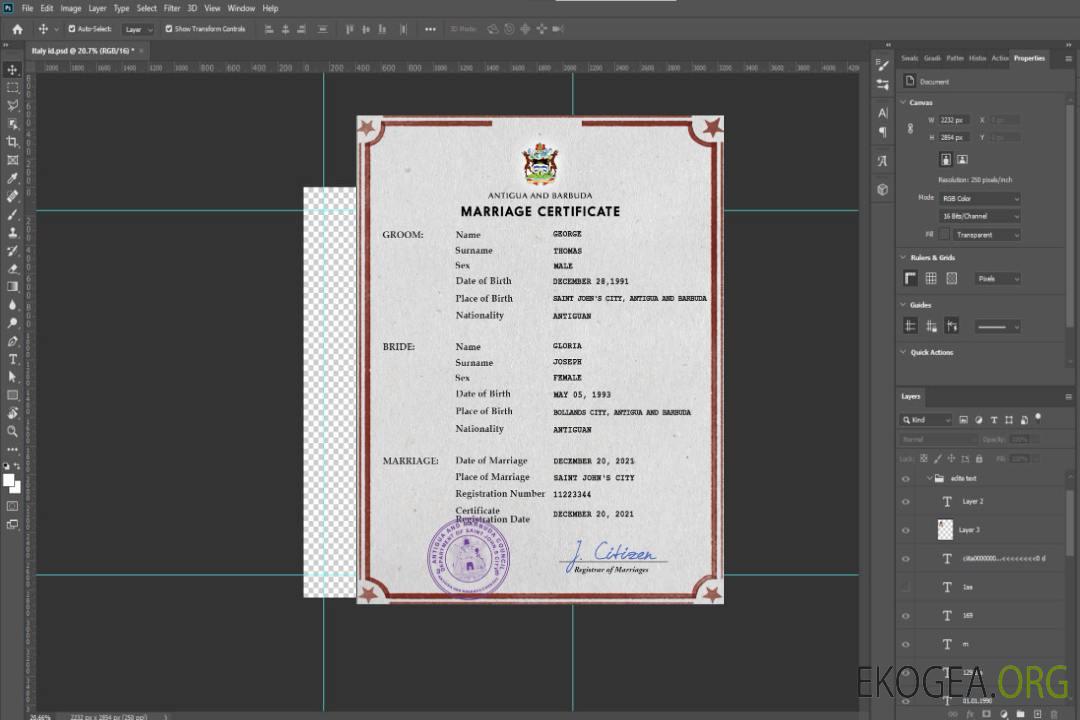 Modèle PSD de certificat de mariage d'Antigua-et-Barbuda template